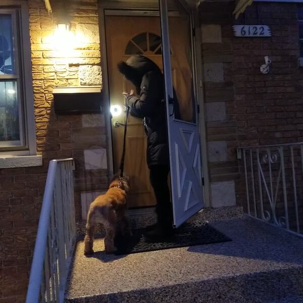 Works Great with Perimeter Lighting